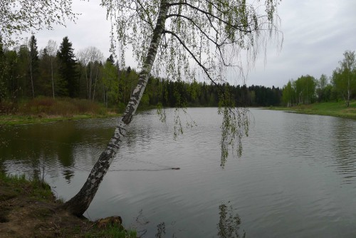 P1170701.JPG