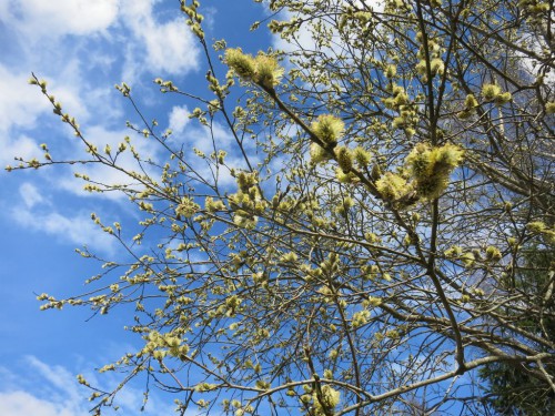 23.04.16 277 [Разрешение рабочего стола].jpg