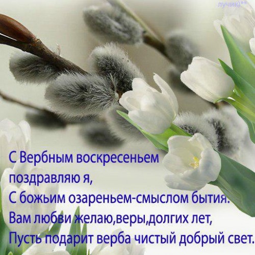 IMG-20160424-WA0003.jpg