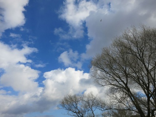 24.04.16 084 [Разрешение рабочего стола].jpg