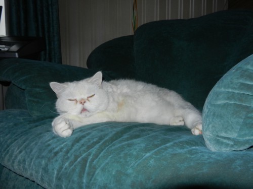 DSCN2328.JPG