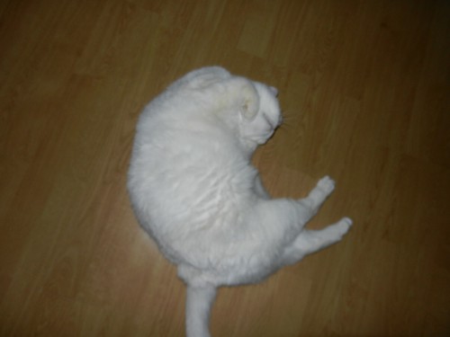DSCN2337.JPG