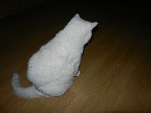DSCN2330.JPG