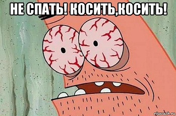 patrik.jpg