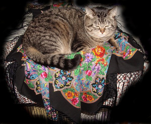 Клубком на чёрных Медальонах