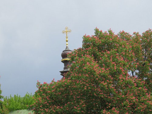 IMG_0570.jpg 4.jpg