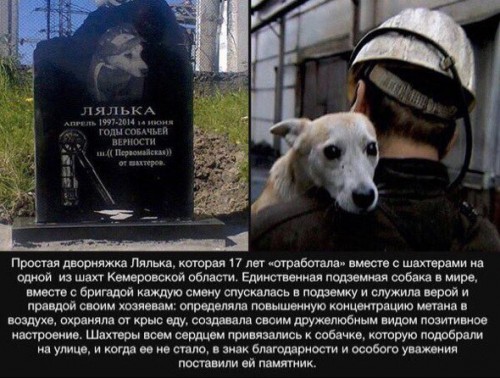 Памятник Ляльке.jpg