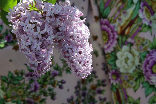 IMG_1028_1.jpg