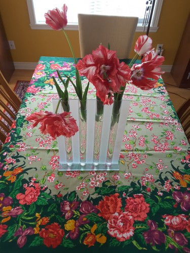 20160531_131153.jpg