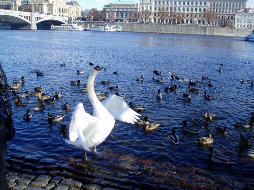 P1010145.JPG