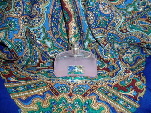Фламенко и CoSTUME NATIONAL Scent cool gloss