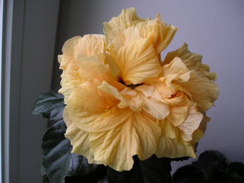 P1010284.JPG