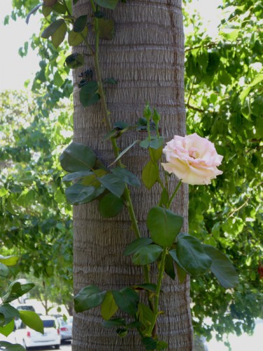 P1000330.jpg