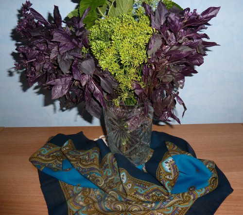 Шалфей (1151-12)