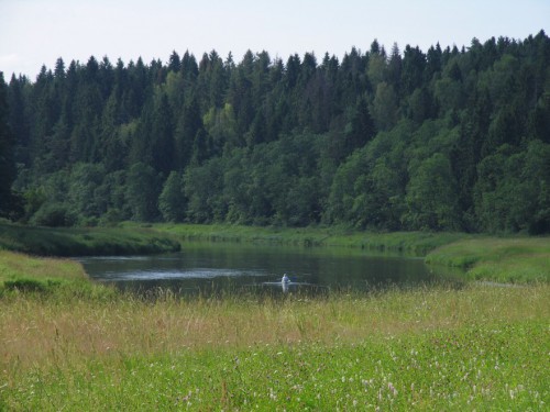Река в августе