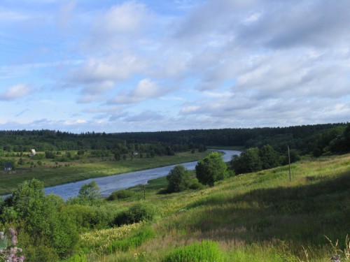 Река Тверца в июле