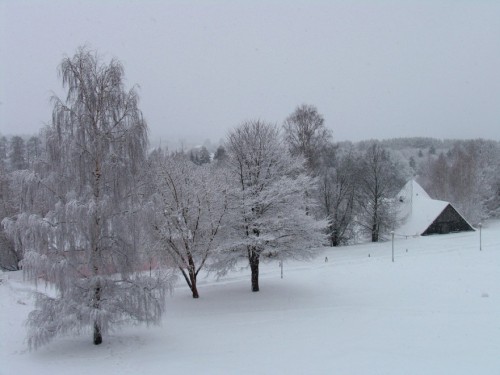 imageсаппи.jpg