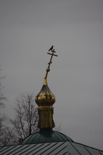 IMGP4002.JPG