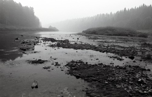 Река Тверца, Василево, Тверская область, 2010