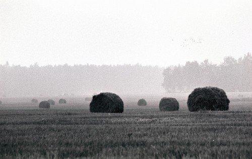 Img065.jpg