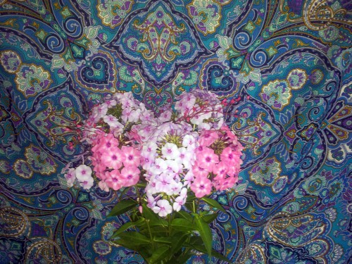 20160722_200234.jpg