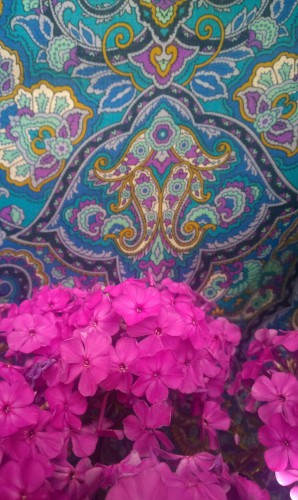 WP_20160805_034.jpg