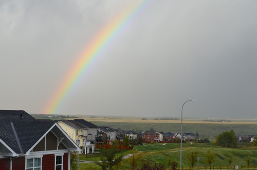 DSC_0751.jpg