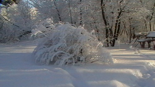 IMGA0150.JPG