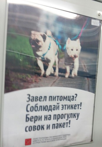 131468020_1473761276picsay.jpg