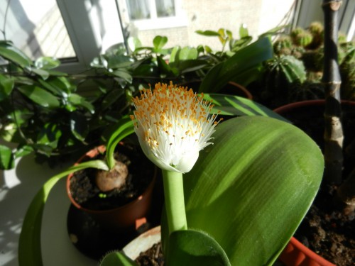 DSCN2515.JPG