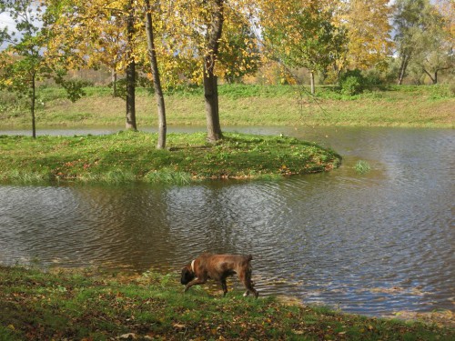 01.10.2016 181 [Разрешение рабочего стола].jpg