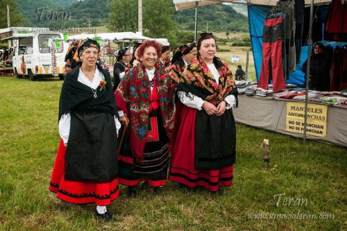 Trashumancia-2014-1327651.jpg