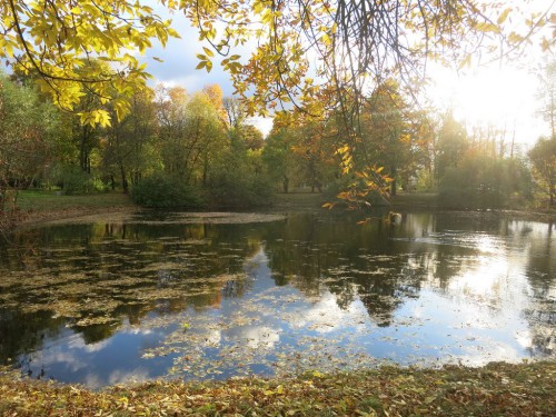 04.10.2016 014 [Разрешение рабочего стола].jpg