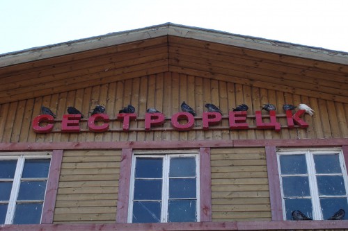Сестрорецк1.jpg
