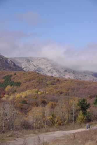 IMGP8571.JPG