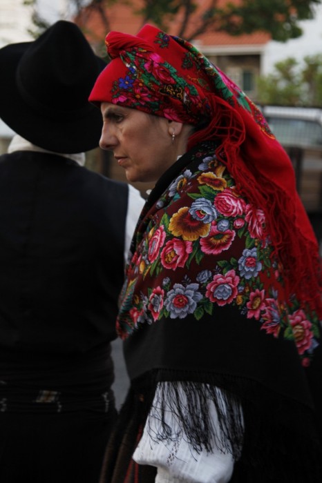 _MG_8330.JPG
