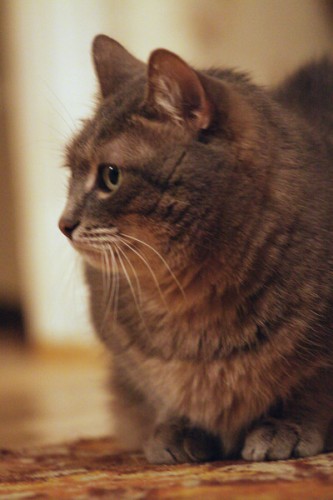 IMG_9787.jpg