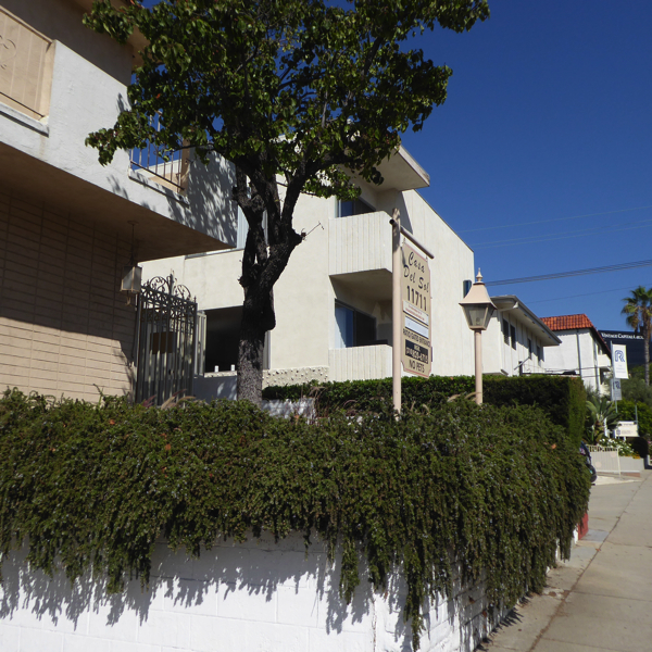 P1000416.jpg