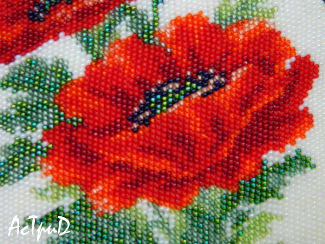 DSCN3563 copy.jpg