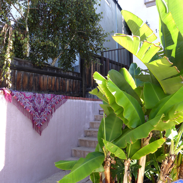 P1000418.jpg