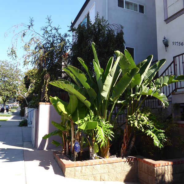 P1000420.jpg