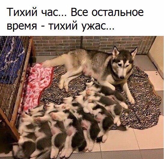 CLAIlU8MQ8o.jpg