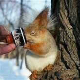 ^35A0EC6E9094E8AB4A0D4A07EDDDB20FC6A76946617E8A3F56^pimgpsh_thumbnail_win_distr.jpg