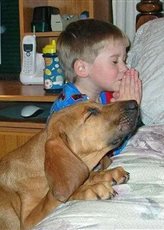 ^3B2AC5743A39A29C7CF4988BA33E5FC56226DBC421A919131C^pimgpsh_thumbnail_win_distr.jpg