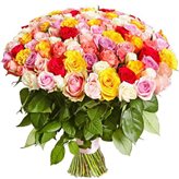 ^FC21DD58A974680F03324D74012FFF5FC9B2B7ACA12BD72FC2^pimgpsh_thumbnail_win_distr.jpg