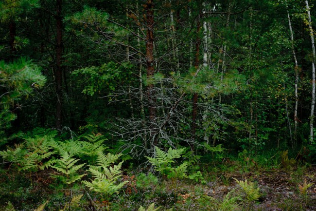 untitled-44.jpg
