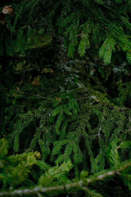 untitled-45.jpg
