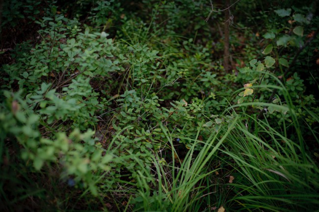untitled-40.jpg