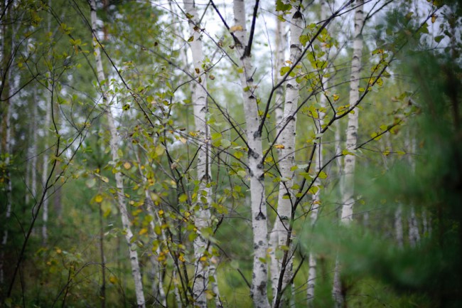 untitled-37.jpg