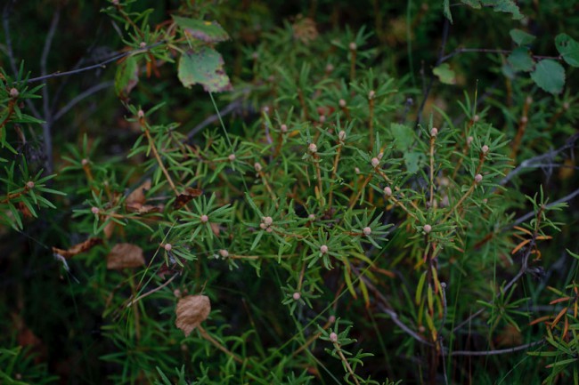 untitled-35.jpg